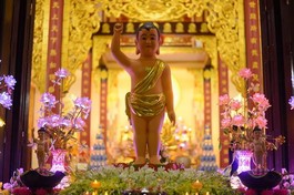 Tôn tượng Đức Bổn Sư sơ sinh tại chùa Từ Lâm