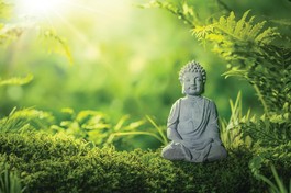 Đừng kẹt Tích môn