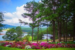 Đà Lạt, một thời để nhớ