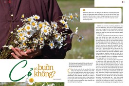 Bài trên Giai phẩm Giác Ngộ Xuân Nhâm Dần 2022 - Thiết kế: Phòng Mỹ thuật BGN/Tống Viết Diễn