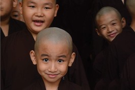 Thương mái chùa, thương màu áo nâu 