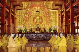 An cư - đôi điều suy nghĩ 