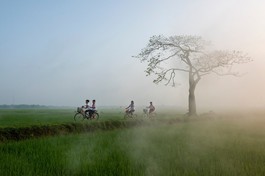 Ảnh minh họa: Văn Phúc/BGN