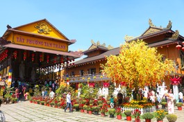 Sắc xuân tại các tự viện trên địa bàn Q.8 (TP.HCM) 