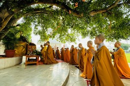 Lễ Tắm Phật được cử hành dưới cội Bồ-đề 