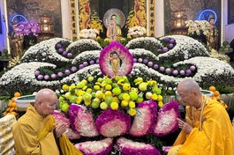 Nhị vị Hòa thượng đối thú an cư tại trường hạ tổ đình Phổ Quang (Q.Phú Nhuận)