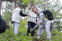 Quý thầy hướng dẫn trồng cây