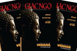 Báo Giác Ngộ số 1319: Tại sao lại là Vedanā và Vedanā là gì?