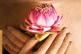 Báo Giác Ngộ 1328: Từ bi với một người là cứu rỗi thế giới