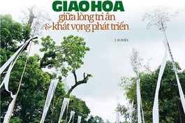 Bài trên Báo Giác Ngộ số 1329 - Thiết kế: Phòng Mỹ thuật BGN/Tống Viết Diễn