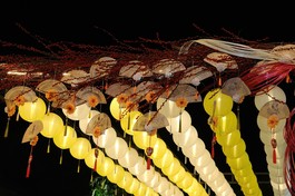 Ảnh: Hạnh Đăng/BGN