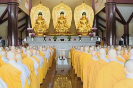 Hạ trường chùa Thanh Tâm nơi có hơn 700 hành giả Ni các khóa an cư.