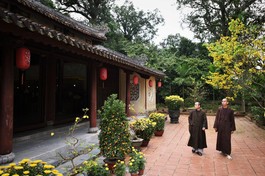 Tết là dịp thăm huynh đệ 