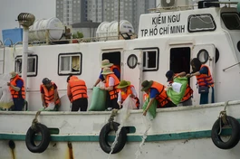 Thả giống tái tạo, bảo vệ môi trường sinh thái trên sông Sài Gòn