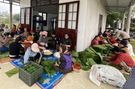 Hơn 100 Phật tử H.Triệu Phong cùng nhau gói bánh chưng tặng người dân có hoàn cảnh khó khăn dịp Tết Nguyên đán