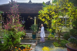 Xuân trong cửa thiền