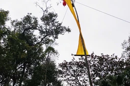 Cây nêu trong khuôn viên Quốc tự Diệu Đế 