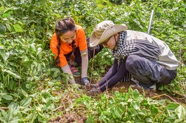 Hai bạn trẻ đang thực hiện công việc trồng cây xanh tại Khu bảo tồn thiên nhiên núi Ông (Bình Thuận) - Ảnh: Quảng Đạo/BGN