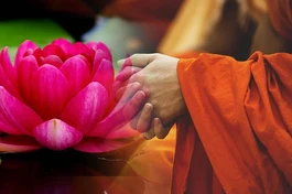 Nếu có Tỳ-kheo thành tựu bảy pháp tất được hoan hỷ an lạc trong pháp Hiền thánh, thẳng tiến đến lậu tận