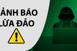 Lập trang web để lừa đảo