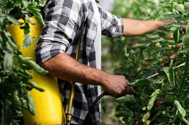 Ảnh chỉ mang tính minh họa