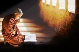 Tôn kính Phật và Pháp - Ảnh minh họa