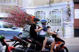 Ảnh: Bảo Toàn/BGN