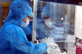 Việt Nam đã ghi nhận 4 biến chủng mới của virus gây bệnh Covid-19