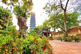 Một góc chùa Bằng khi xuân về - Ảnh: Diệu Tường