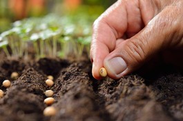 nhân quả tương tục, tiếp nối không ngừng nên quả báo luôn hiện hữu trong đời sống, người Phật tử cần tiếp nhận quả báo xảy ra hàng ngày với trí tuệ - Ảnh: Shuterstock