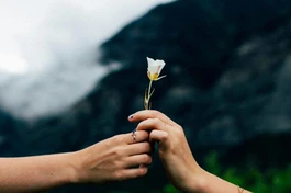 Đâu cần phải hy sinh...