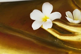 Khi cái tôi bị khuấy động