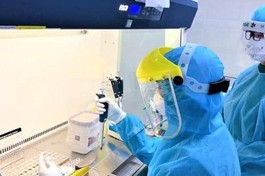 Phát hiện virus SARS-CoV-2 biến chủng Ấn Độ tại 5 tỉnh thành