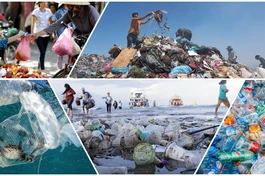 Đồ nhựa, túi ni-lông, dùng một lần hại ngàn năm