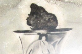 [Video] Trái tim bất diệt của Bồ-tát Thích Quảng Đức hiện ở đâu?