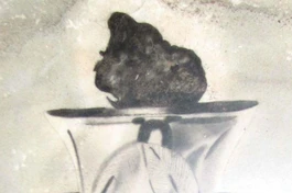 [Video] Trái tim bất diệt của Bồ-tát Thích Quảng Đức hiện ở đâu?