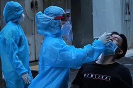 Lấy mẫu xét nghiệm để tầm soát dịch Covid-19 - Ảnh: HCDC