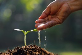 Cho đi người khác vui lòng ta vui. Cho đi là còn mãi…