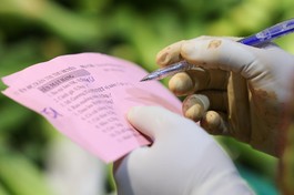 Ảnh: Ngô Trần Hải An