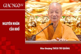 [TRỰC TUYẾN] Trưởng lão Hòa thượng Thích Trí Quảng thuyết giảng về nguyên nhân của sự khổ