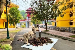 Nhân viên Học viện làm vệ sinh trước đó để sẵn sàng đón Tăng Ni sinh viên trở lại nội trú tu học - Ảnh: Ban Truyền thông Học viện