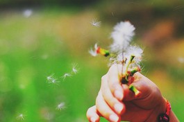 Cần phải thấy rõ, các duyên bên ngoài (có vật chất, ngũ dục) chỉ là những điều kiện cần, bình an trong tâm mới là điều kiện đủ cho hạnh phúc, cho chất lượng cuộc sống...