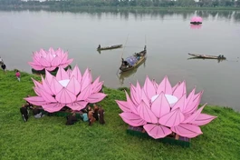 Từng đóa sen khổng lồ được kéo ra định vị giữa dòng sông Hương - Ảnh: Tuấn Anh