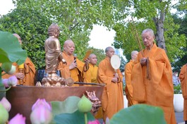 Trưởng lão Hòa thượng Thích Trí Quảng niêm hương bạch Phật