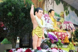 Tôn tượng Đức Phật sơ sinh