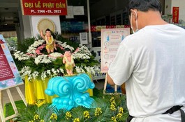 Lễ đài công cộng, ai cũng có thể đến lễ, cầu nguyện và Tắm Phật trong mùa Phật đản