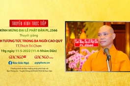 [TRỰC TIẾP] Thượng tọa Thích Trí Chơn thuyết giảng: "Tính tương tức trong Ba Ngôi cao quý"