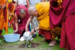 Chúng ta phải hành động để bảo vệ thiên nhiên và hành tinh này, đó là ngôi nhà duy nhất của chúng ta