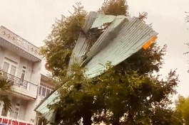 Gió thổi bay mái tôn vắt trên cây ở Hội An, Quảng Nam