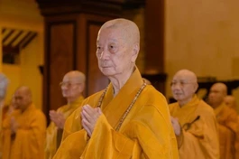 [TRỰC TUYẾN] Trưởng lão Hoà thượng Thích Trí Quảng thuyết giảng